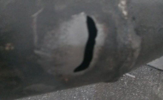 普通91视频下载污污版