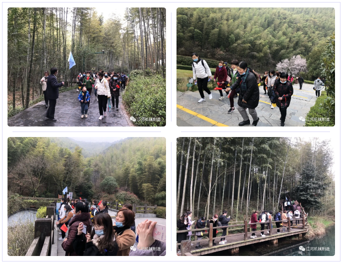 江苏91视频免费观看女神节的旅游纪录