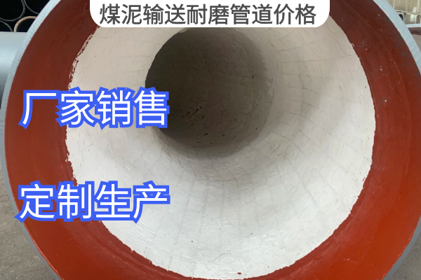 煤泥输送91视频下载污污版价格